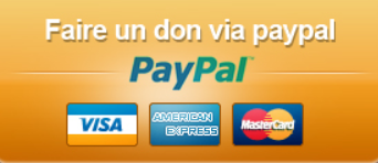 Logo DonPaypal